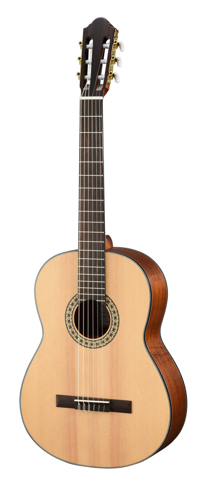 N550EW, 4/4, table épicéa massive, fond et éclisses acajou, EQ Walden MG-20, naturel brillant