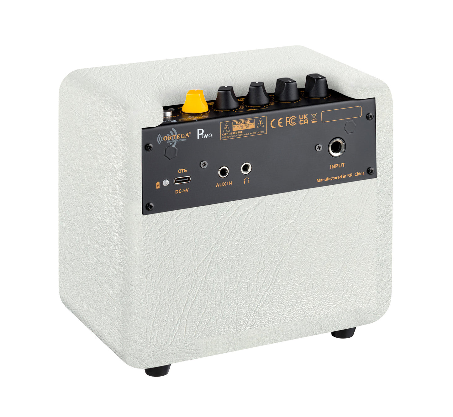 PTWO-LTD, ampli combo guitare acoustique 12W, Streaming Bluetooth, sortie casque, delay, reverb & chorus intégrés, simili cuir