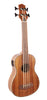 Alabama FZU-BASS-004 basukelele