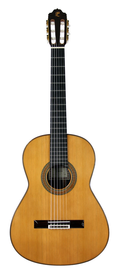 CONSERVATORY CD, table cèdre massif, f/e palissandre indien massif, barrage lattice, touche ébène, soft case