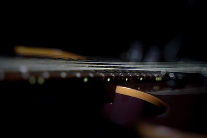 G300 PRO, corps tilleul, table érable massif, manche et touche érable torréfié, 2 micros Seymour Duncan, bourgogne vif