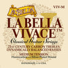 La Bella VIV-M klassieke snarenset