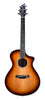 Breedlove Eerste Concert Edgeburst Ce