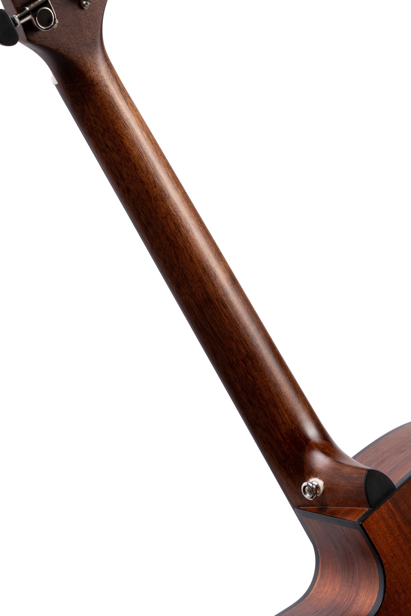 CORE-OC, forme OM, table blackwood massif, f/e blackwood massif, EQ Fishman Sonitone, soft case, light burst pores ouverts