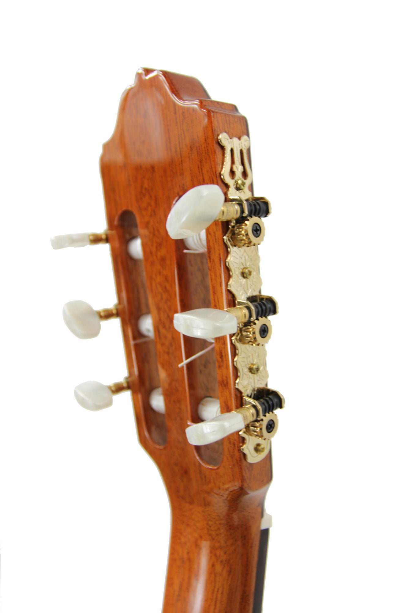 7SM, table épicéa massif, fond & éclisses mongoy massif, touche palissandre, soft case