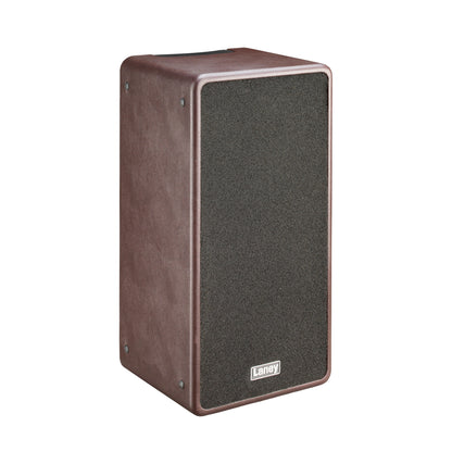 Ampli guitare acoustique 120W (Classe D) A-Duo-2, 2x HP 8" double cône, 2 canaux identiques, marron