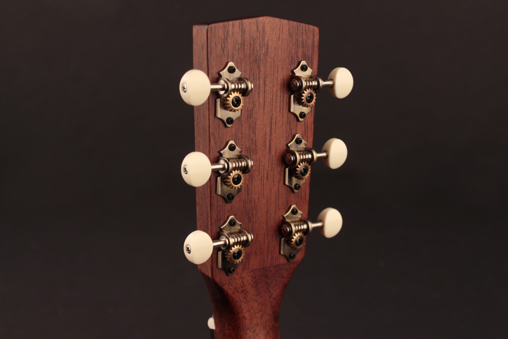 Earth 100SS, modèle Slope Shoulder, table épicéa Sitka massif, f/e acajou, EQ Fishman Sonitone, sunburst