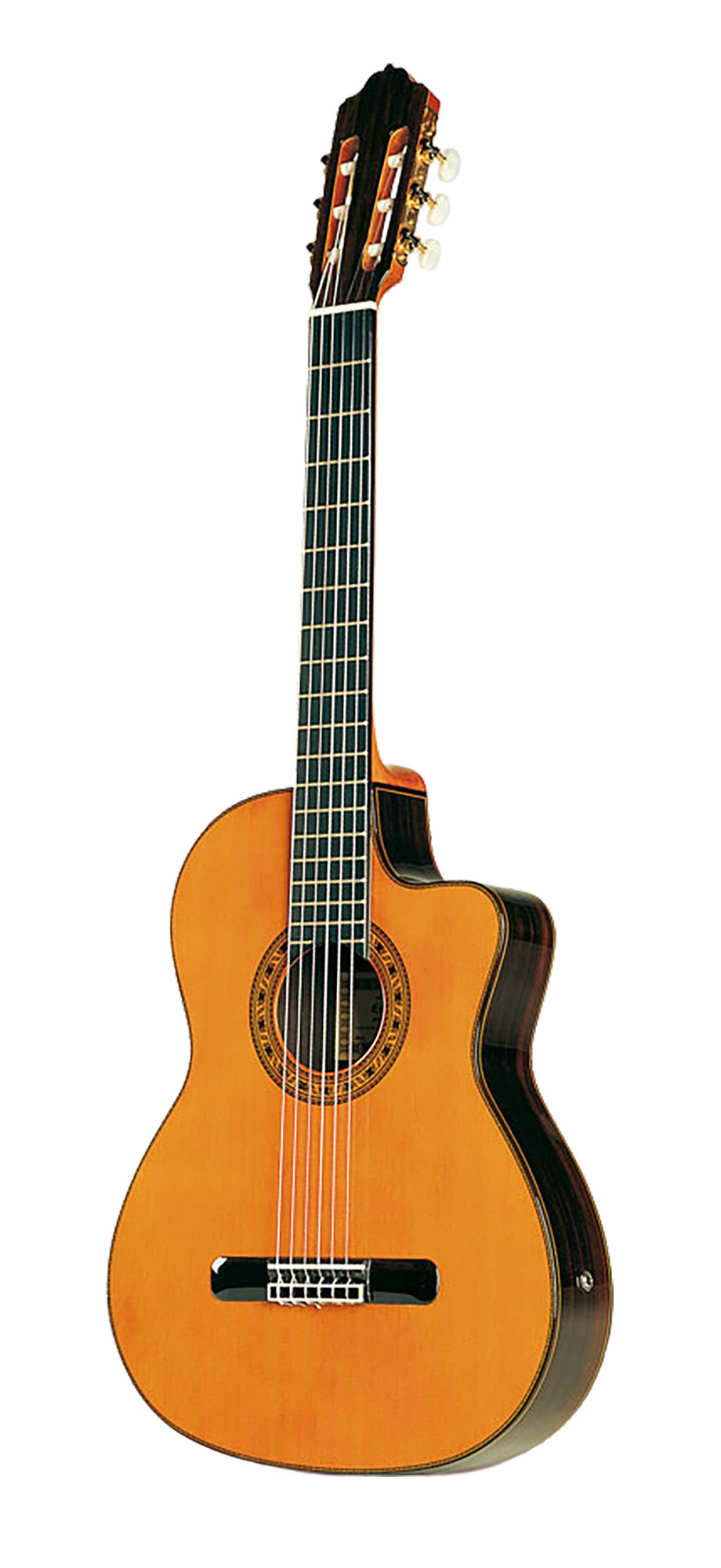 ELEC, pan coupé, table cèdre, f/e palissandre massif, touche ébène, sillet 52 mm, Fishman Prefix Pro Blend, soft case