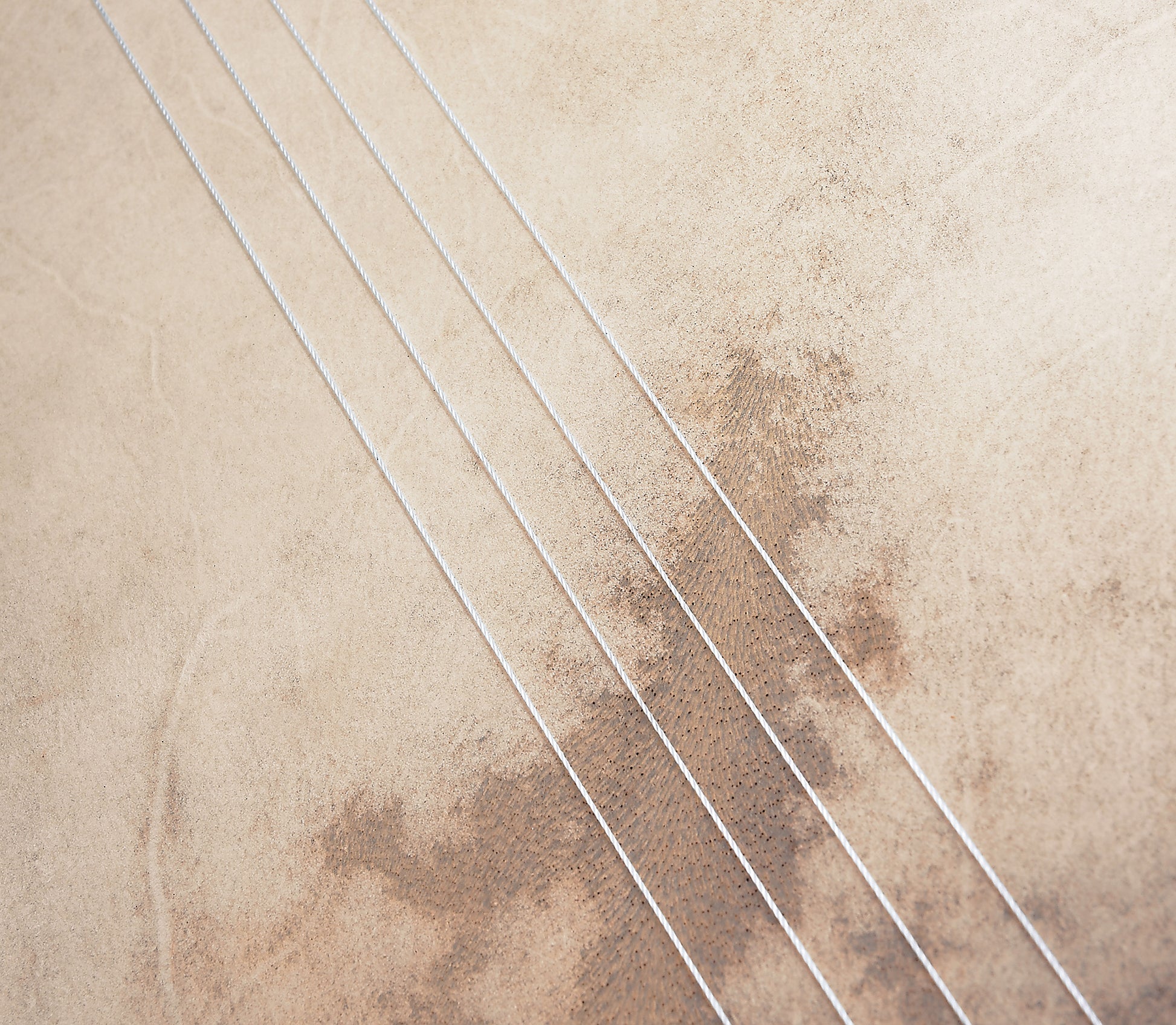 Bendir 16 x 2.5", corps en hévéa, peau de chèvre sélectionnée à la main, timbre et système d'accordage internes, African Brown