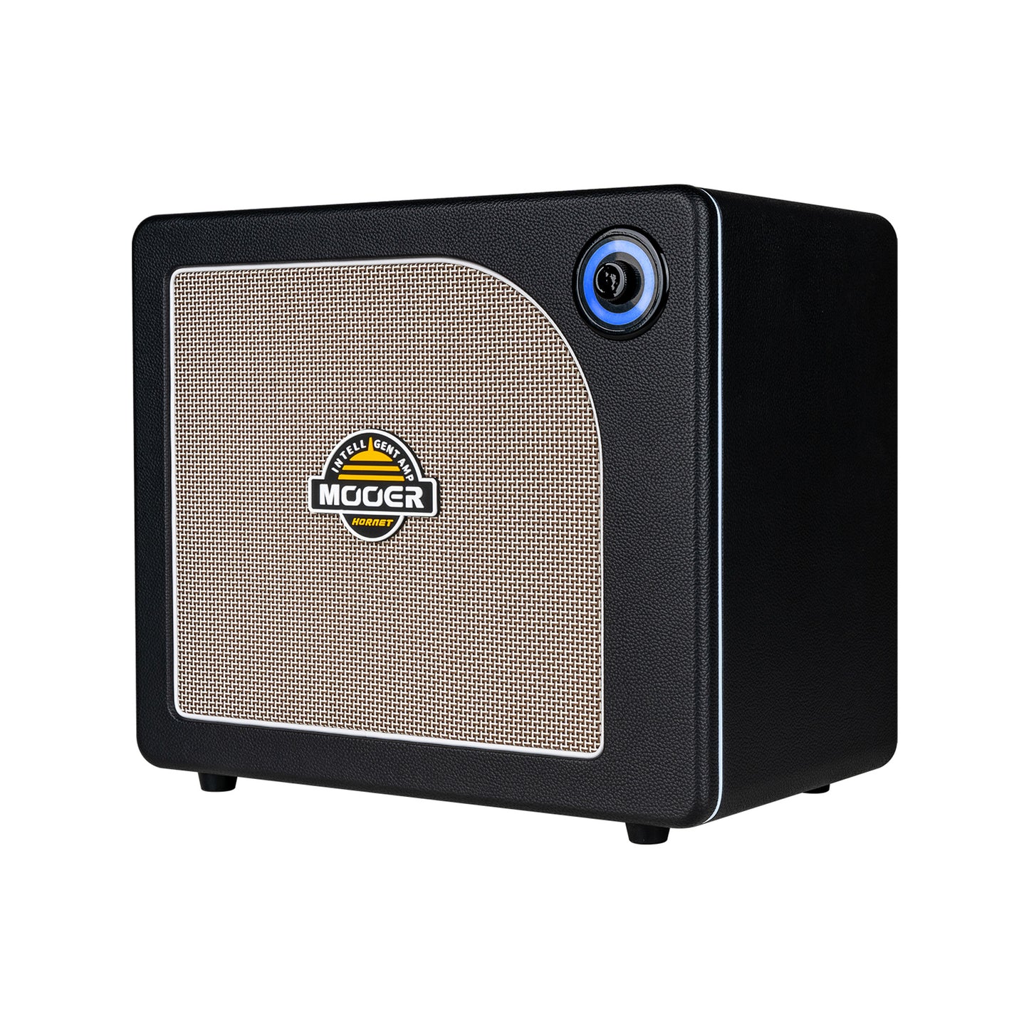 Ampli HORNET 30i, 30W, HP 8", 52 modélisations d'amplis, 49 effets, accordeur, looper, Bluetooth, USB-C, alimentation, noir