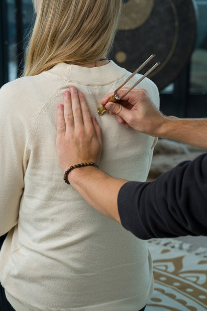 pied VIBRATOIRE DIAPASON SONIC 25G