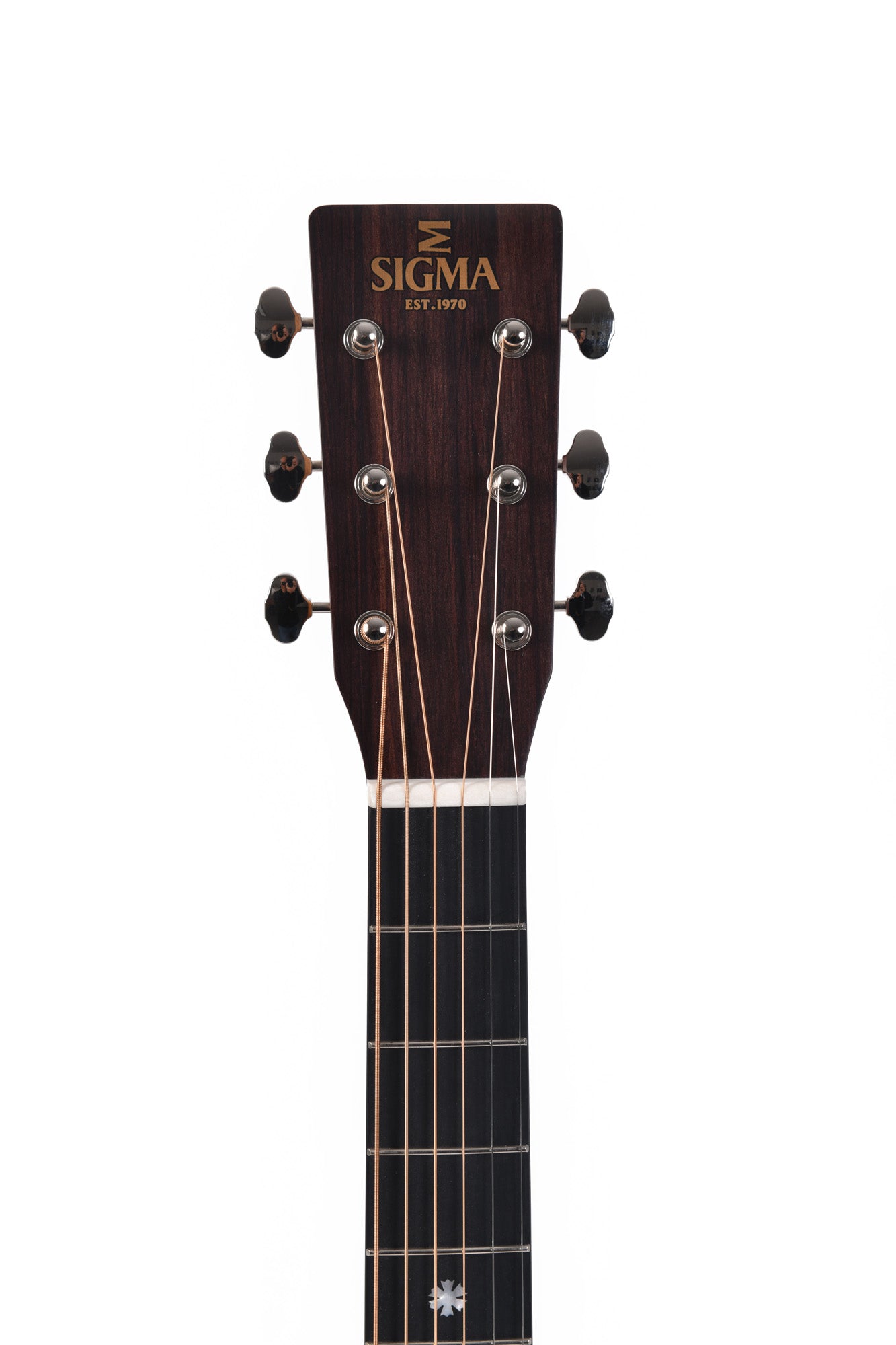 Modèle SDP-10E, Dreadnought, table épicéa Sitka massif, f/e pau ferro massif, touche micarta, EQ LR Baggs, soft case, naturel