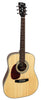 Cort Earth70 Linkshandig