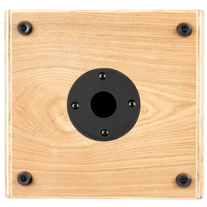 CONE-ASH, ampli combo guitare acoustique 100W, deux canaux, réverb & chorus intégrés, avec housse, frêne naturel satiné et noir