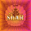 La Bella ST30 sitar-snarenset