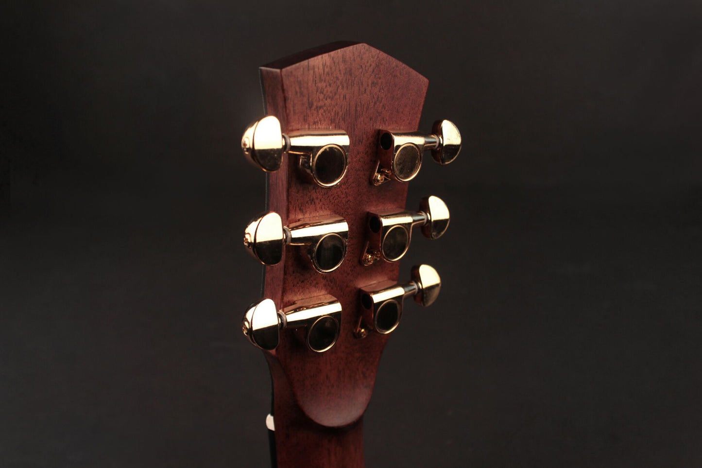 GOLD-MINI-F, forme Dreadnought 3/4, table épicéa massif torréfié, f/e acajou massif, EQ Fishman Flex Plus, naturel brillant