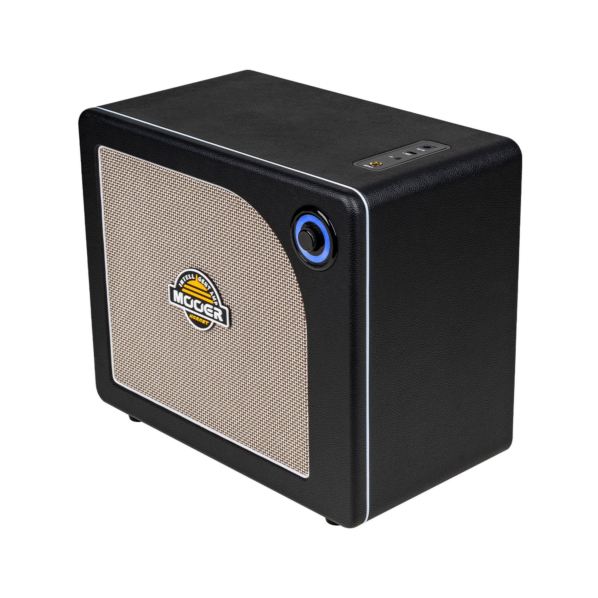 Ampli HORNET 30i, 30W, HP 8", 52 modélisations d'amplis, 49 effets, accordeur, looper, Bluetooth, USB-C, alimentation, noir