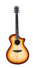 Breedlove Eerste Concert Deze Sitka