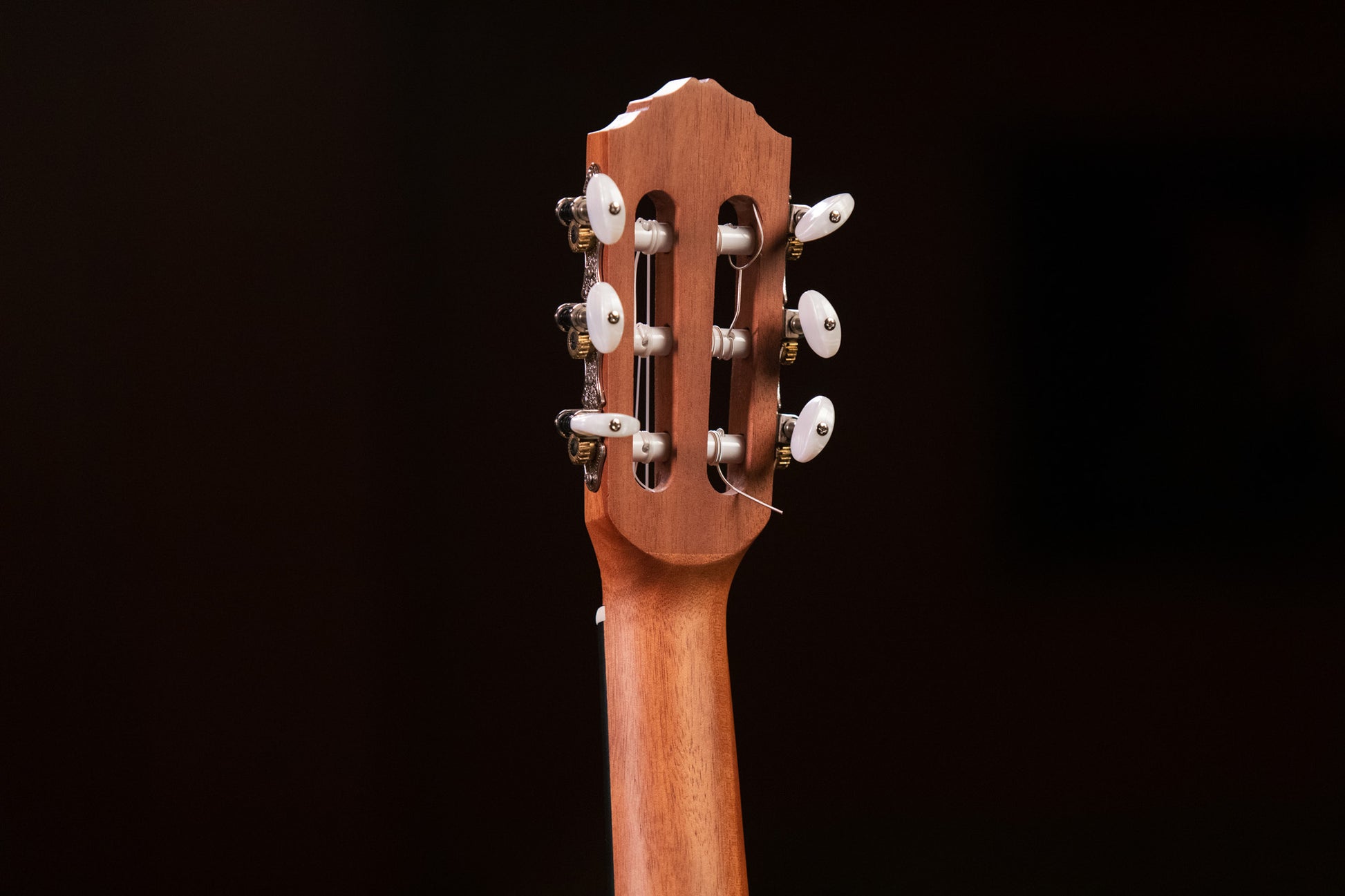 RGL5, table épicéa avec motif, fond & éclisses acajou, manche acajou (47 mm au sillet), naturel satiné