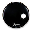 Aquarian Skin RSM24BK