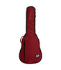 Ritter RGD2DSRD Dreadnought Cover