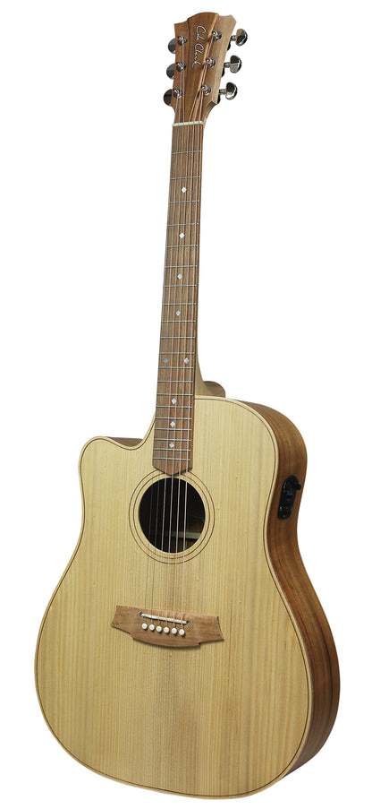 Fat Lady 2, Dreadnought pan coupé, EQ 3 voix PG3, table bunya massif, f/e blackwood massif, gaucher, étui tweed