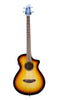 Breedlove Discovery S Concert CE Bass Edgeburst