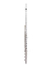 Trevor James Cantabile Fluit 31CV-HRX