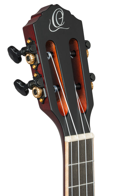 RTPX-U-ACA, modèle Tourplayer Ténor, pan coupé, EQ Magus X/U, table acacia, f/e okoumé, manche acajou, housse, dégradé brillant