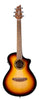 Breedlove Discovery S Companion Ce Edge