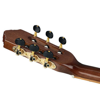 RE30TH-ACA, 30ème Anniversaire, EQ MagusPro/G, table acacia, f&e acacia, manche nato (47 mm), housse, naturel