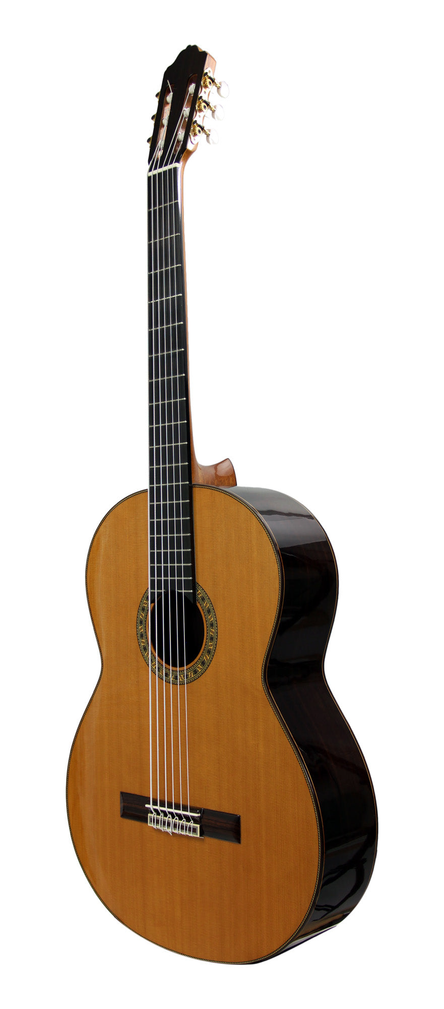 Octave Bass 6, basse 6 cordes, table cèdre massif, fond et éclisses palissandre indien, touche ébène, corde vibrante 75 cm