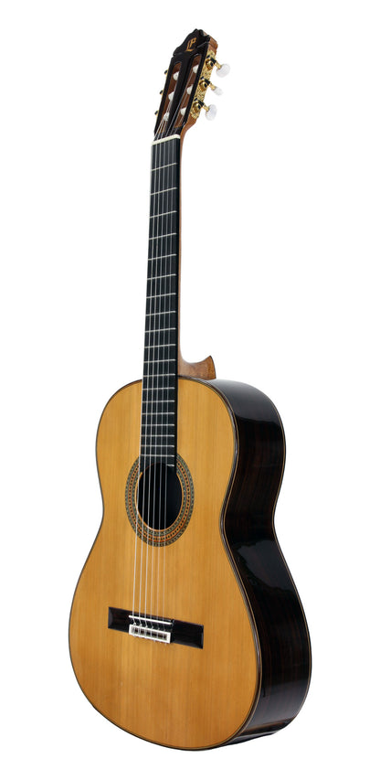 CONSERVATORY CD, table cèdre massif, f/e palissandre indien massif, barrage lattice, touche ébène, soft case