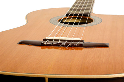 CROSSOVER-CD, pan coupé, EQ Fishman Sonitone, table cèdre massif, fond & éclisses palissandre, satiné, table brillante