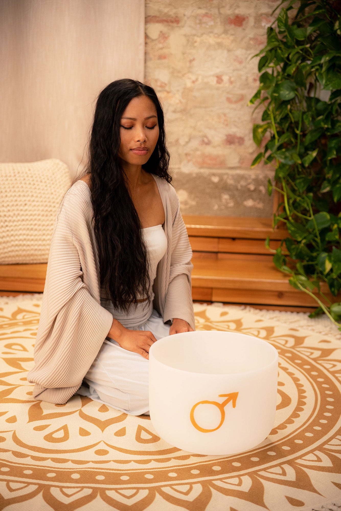 SINGING BOWL SONIC ENERGY CRISTAL 12"