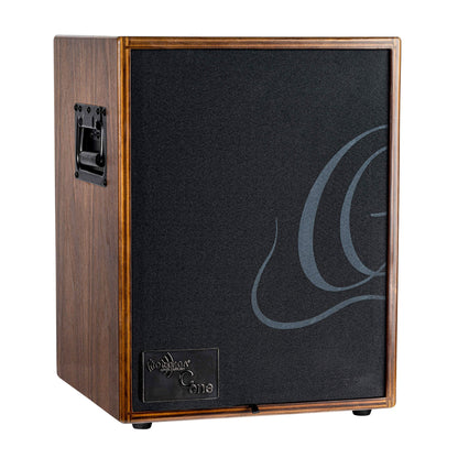 CONE-WND, ampli combo guitare acoustique 100W, deux canaux, réverb & chorus intégrés, avec housse, noyer foncé satiné et noir