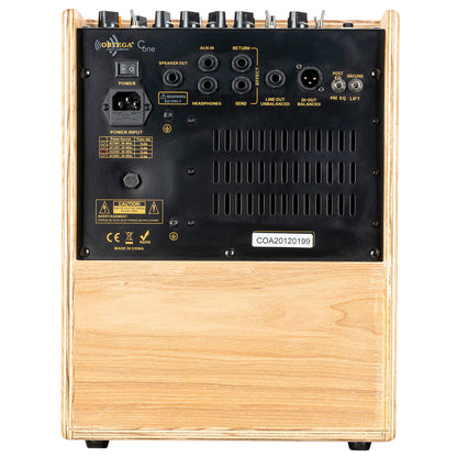 CONE-ASH, ampli combo guitare acoustique 100W, deux canaux, réverb & chorus intégrés, avec housse, frêne naturel satiné et noir