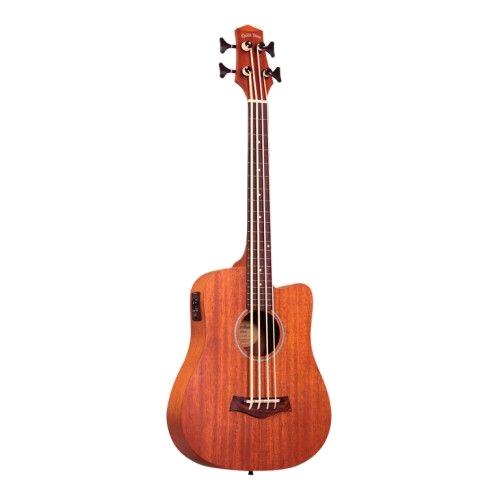 Goudkleurige elektro-akoestische basgitaar M-BASS/FL