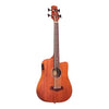 Goudkleurige elektro-akoestische basgitaar M-BASS/FL